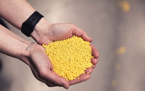 compounded pellets yellow