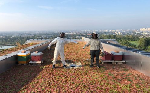 Pipelife's beekeepers Kathrin and David standing next to the hives | Pipelife